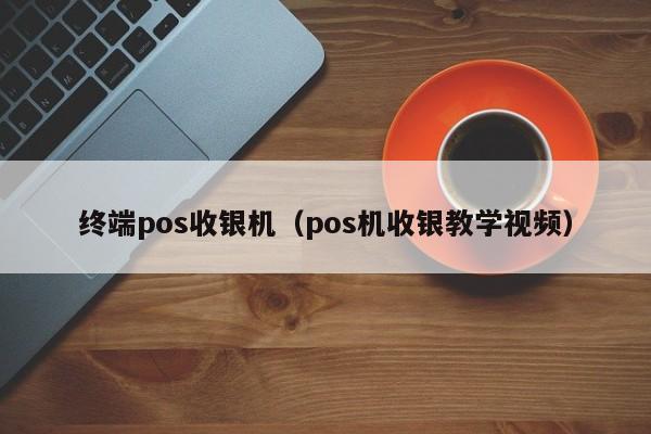 终端pos收银机（pos机收银教学视频）