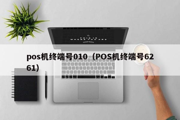 pos机终端号010（POS机终端号6261）