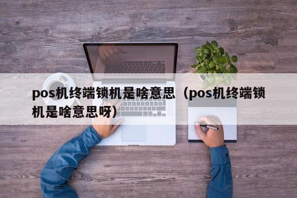 pos机终端锁机是啥意思（pos机终端锁机是啥意思呀）