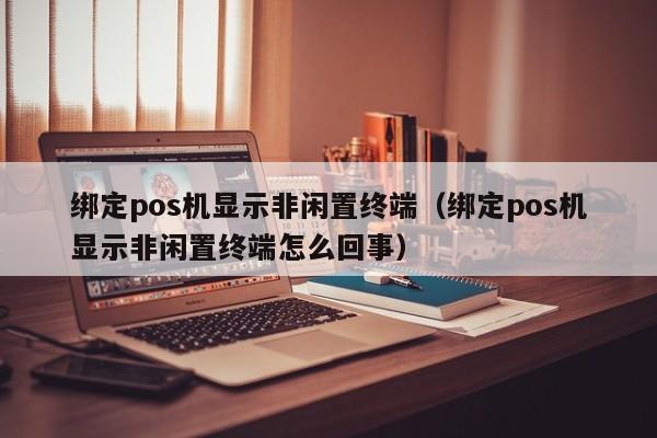 绑定pos机显示非闲置终端（绑定pos机显示非闲置终端怎么回事）