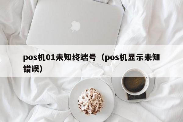 pos机01未知终端号（pos机显示未知错误）