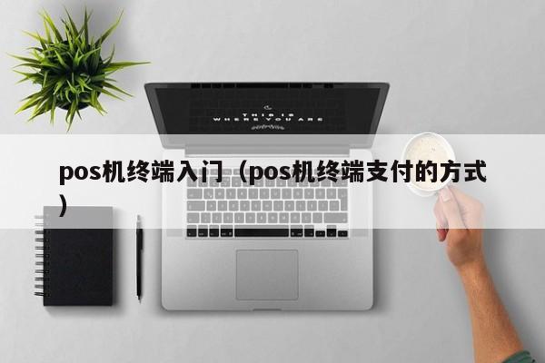 pos机终端入门（pos机终端支付的方式）