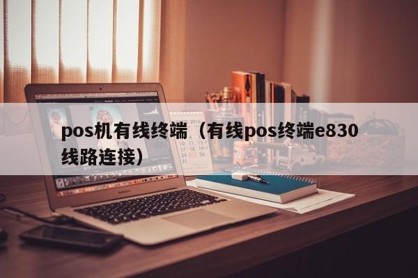 pos机有线终端（有线pos终端e830线路连接）