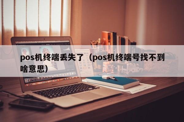 pos机终端丢失了（pos机终端号找不到啥意思）