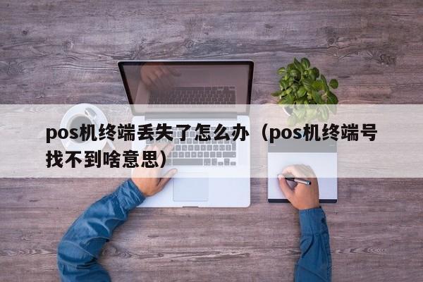 pos机终端丢失了怎么办（pos机终端号找不到啥意思）