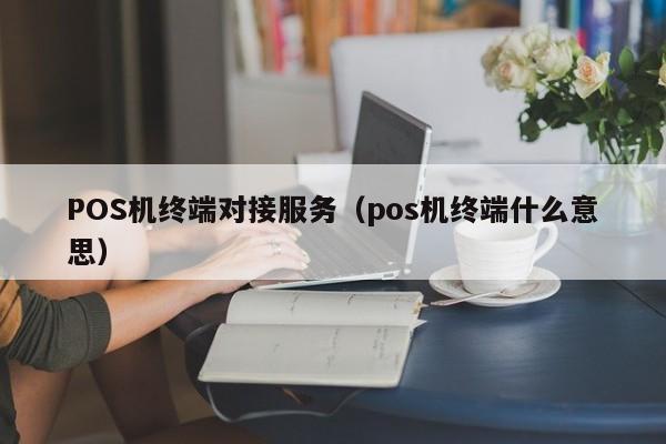 POS机终端对接服务（pos机终端什么意思）