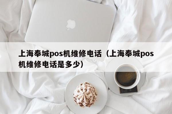 上海奉城pos机维修电话（上海奉城pos机维修电话是多少）