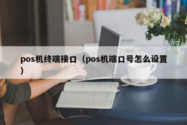 pos机终端接口（pos机端口号怎么设置）