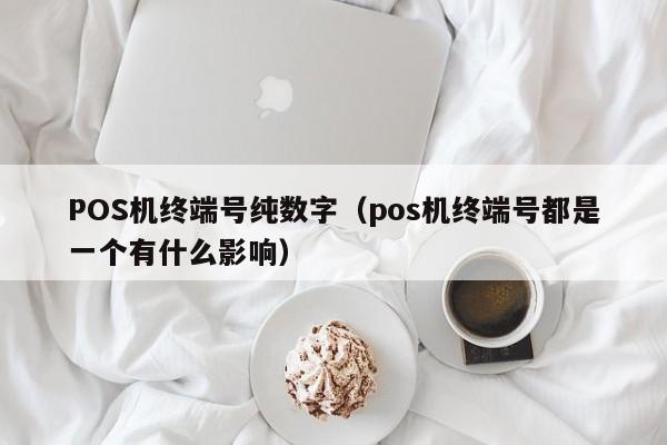 POS机终端号纯数字（pos机终端号都是一个有什么影响）