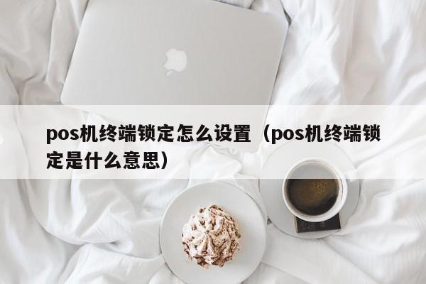 pos机终端锁定怎么设置（pos机终端锁定是什么意思）