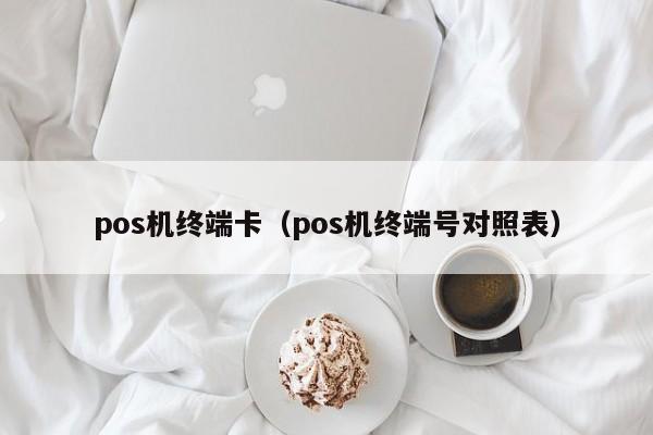 pos机终端卡（pos机终端号对照表）