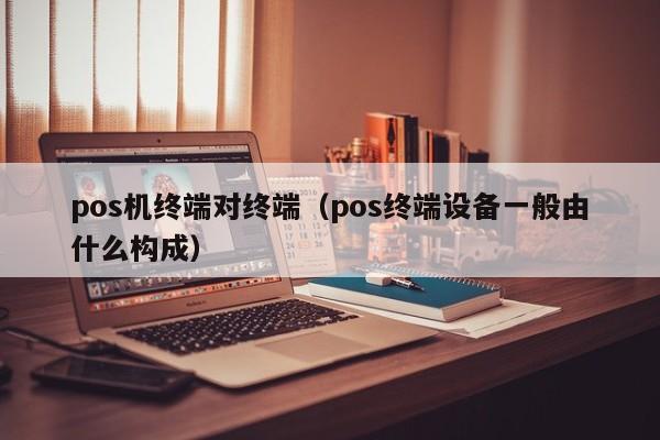 pos机终端对终端（pos终端设备一般由什么构成）