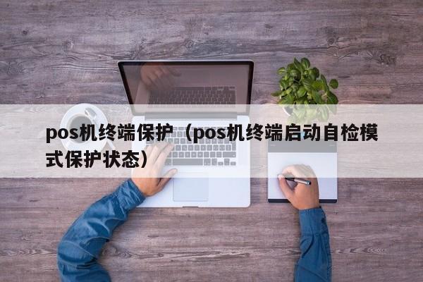 pos机终端保护（pos机终端启动自检模式保护状态）