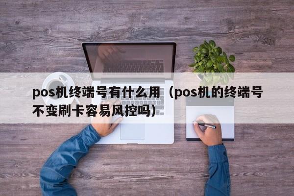 pos机终端号有什么用（pos机的终端号不变刷卡容易风控吗）