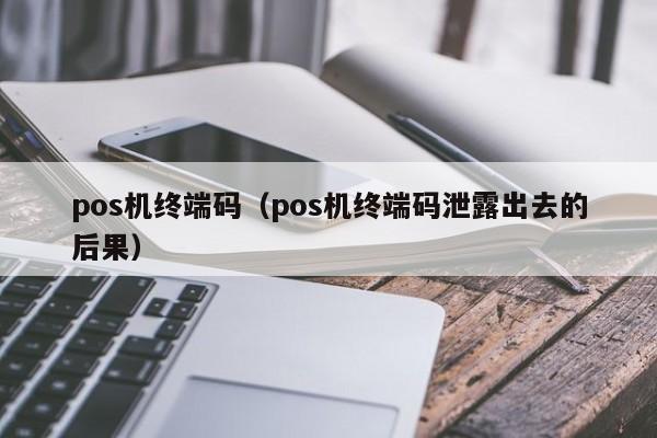 pos机终端码（pos机终端码泄露出去的后果）