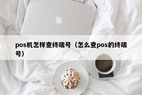 pos机怎样查终端号（怎么查pos的终端号）