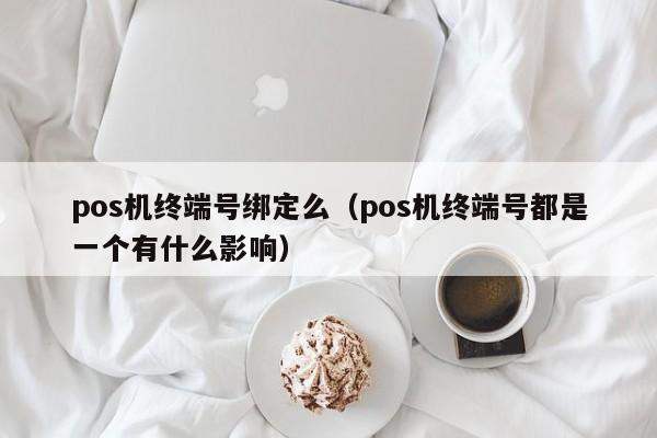 pos机终端号绑定么（pos机终端号都是一个有什么影响）