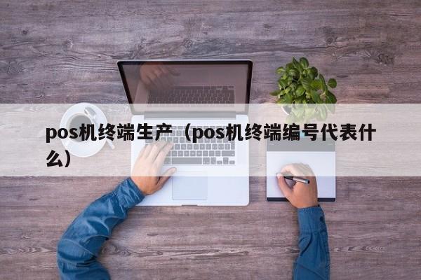 pos机终端生产（pos机终端编号代表什么）