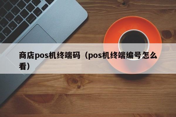 商店pos机终端码（pos机终端编号怎么看）