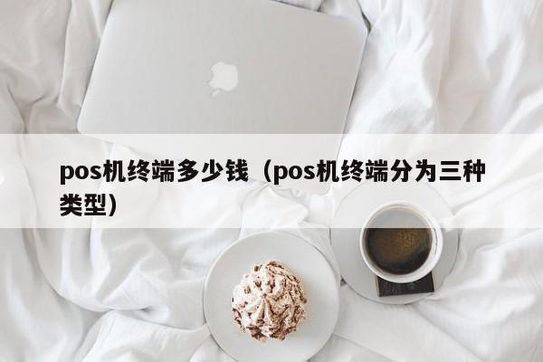 pos机终端多少钱（pos机终端分为三种类型）