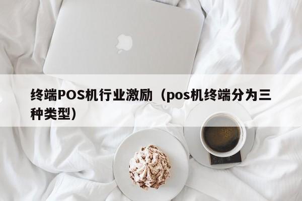 终端POS机行业激励（pos机终端分为三种类型）