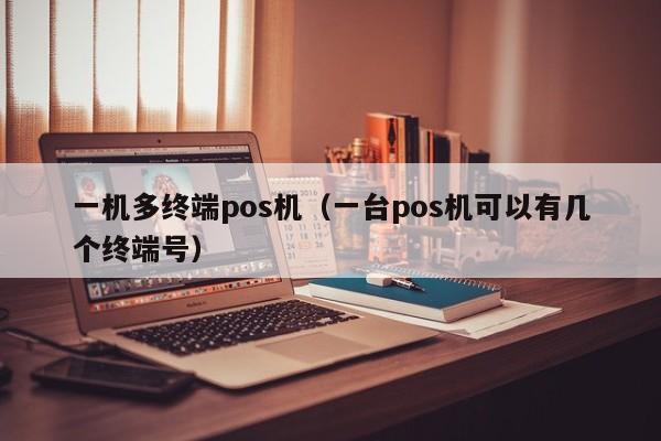 一机多终端pos机（一台pos机可以有几个终端号）