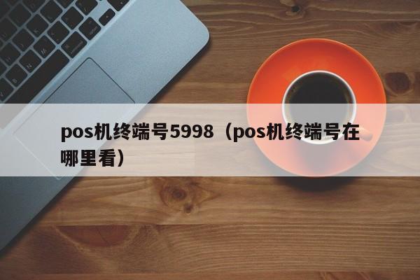 pos机终端号5998（pos机终端号在哪里看）