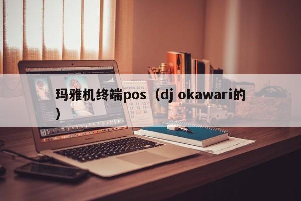 玛雅机终端pos（dj okawari的）