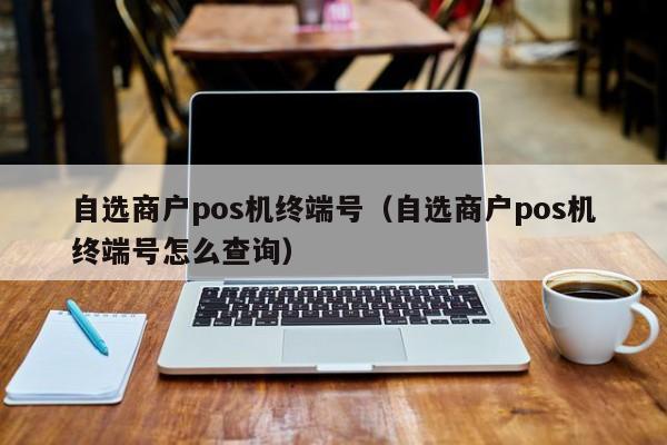 自选商户pos机终端号（自选商户pos机终端号怎么查询）