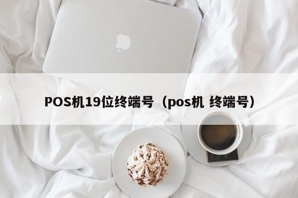 POS机19位终端号（pos机 终端号）