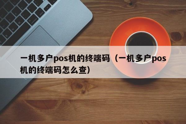 一机多户pos机的终端码（一机多户pos机的终端码怎么查）