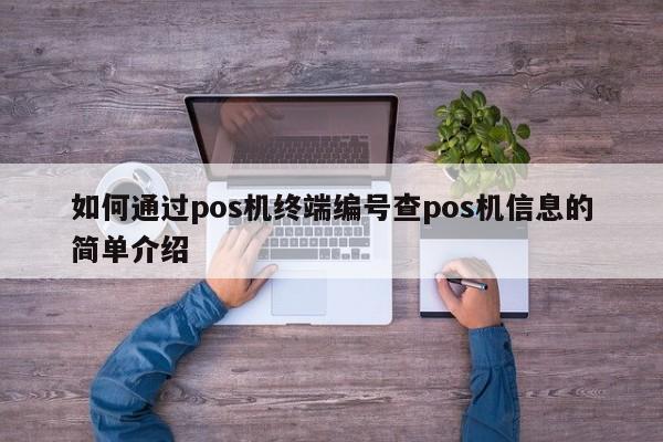 如何通过pos机终端编号查pos机信息的简单介绍