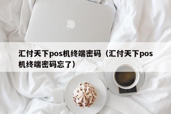 汇付天下pos机终端密码（汇付天下pos机终端密码忘了）