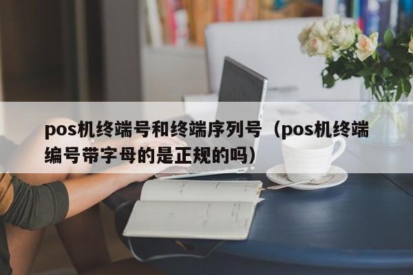 pos机终端号和终端序列号（pos机终端编号带字母的是正规的吗）