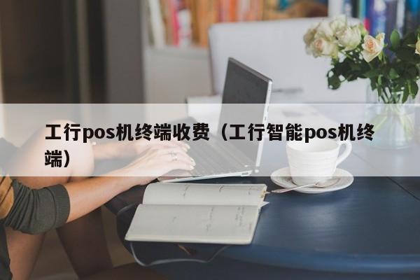 工行pos机终端收费（工行智能pos机终端）