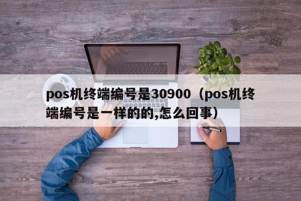 pos机终端编号是30900（pos机终端编号是一样的的,怎么回事）