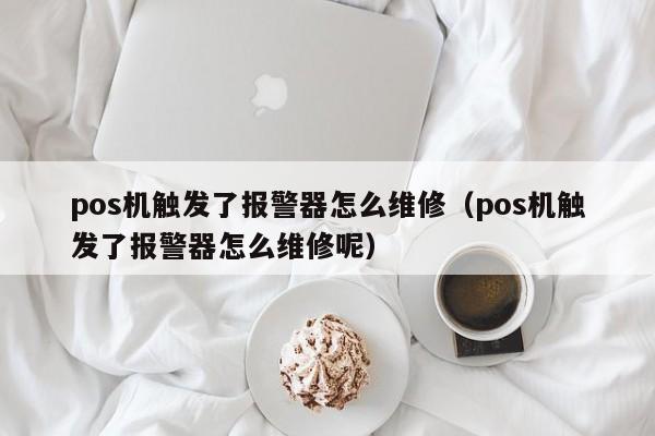 pos机触发了报警器怎么维修（pos机触发了报警器怎么维修呢）