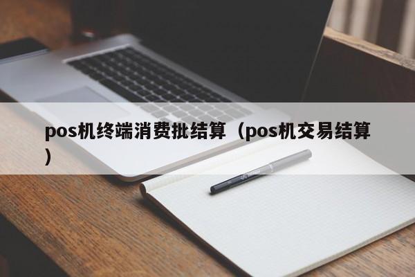 pos机终端消费批结算（pos机交易结算）