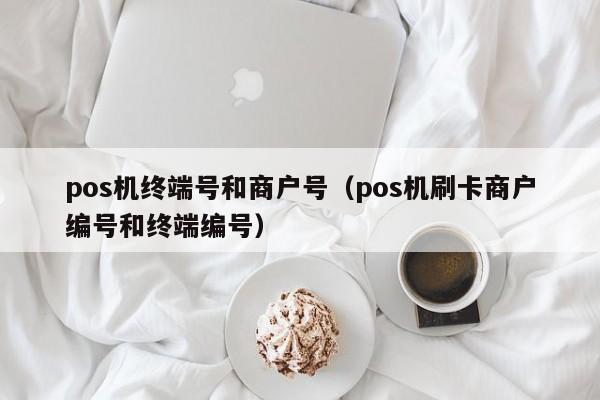 pos机终端号和商户号（pos机刷卡商户编号和终端编号）