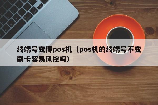 终端号变得pos机（pos机的终端号不变刷卡容易风控吗）