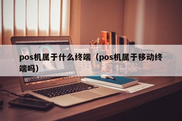 pos机属于什么终端（pos机属于移动终端吗）