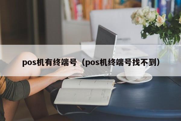 pos机有终端号（pos机终端号找不到）