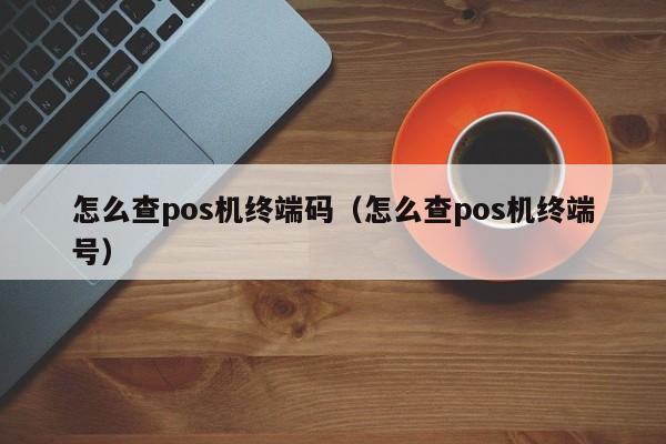 怎么查pos机终端码（怎么查pos机终端号）