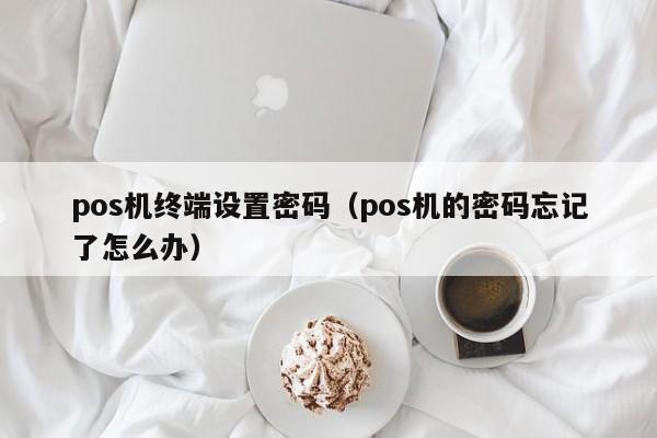 pos机终端设置密码（pos机的密码忘记了怎么办）