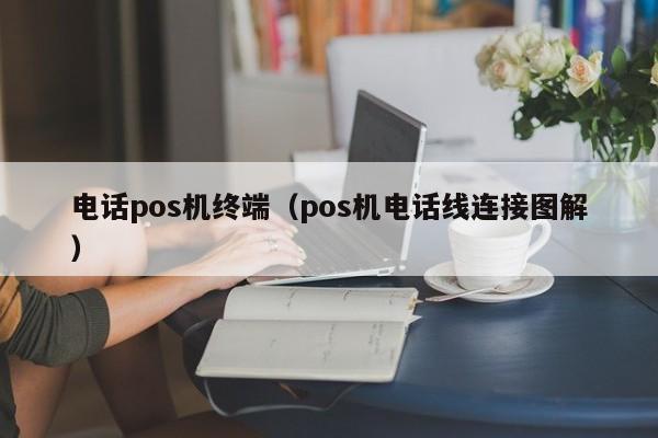 电话pos机终端（pos机电话线连接图解）