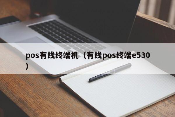 pos有线终端机（有线pos终端e530）