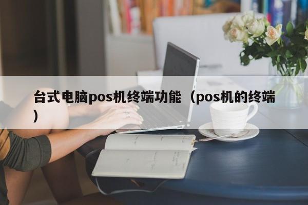 台式电脑pos机终端功能（pos机的终端）