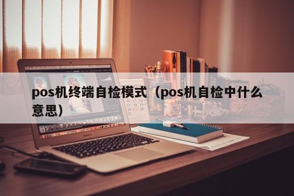 pos机终端自检模式（pos机自检中什么意思）