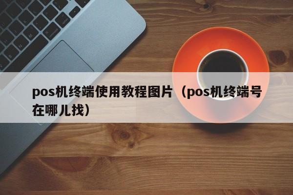 pos机终端使用教程图片（pos机终端号在哪儿找）