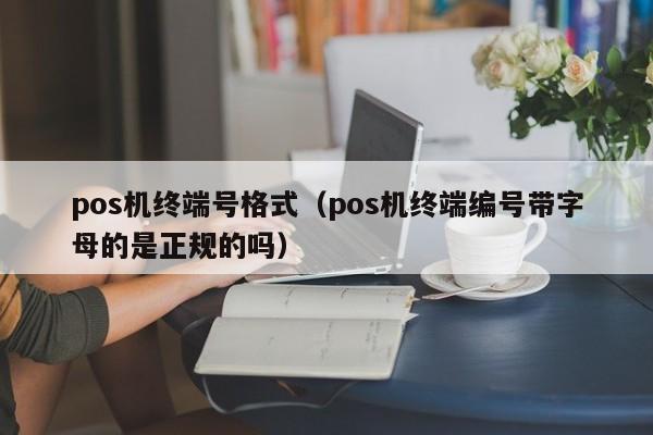 pos机终端号格式（pos机终端编号带字母的是正规的吗）